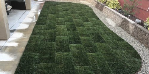 Sod Installation, Sod Installer, New Sod, Sod Company, Sod Contractor Sod Installation, Sod Installer, New Sod, Sod Company, Sod Contractor