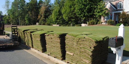 Sod Installation, Sod Installer, New Sod, Sod Company, Sod Contractor Sod Installation, Sod Installer, New Sod, Sod Company, Sod Contractor