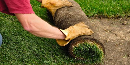 Sod Installation, Sod Installer, New Sod, Sod Company, Sod Contractor Sod Installation, Sod Installer, New Sod, Sod Company, Sod Contractor
