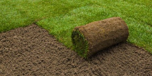 Sod Installation, Sod Installer, New Sod, Sod Company, Sod Contractor Sod Installation, Sod Installer, New Sod, Sod Company, Sod Contractor