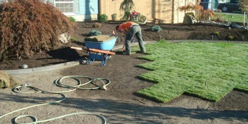 Sod Installation, Sod Installer, New Sod, Sod Company, Sod Contractor Sod Installation, Sod Installer, New Sod, Sod Company, Sod Contractor